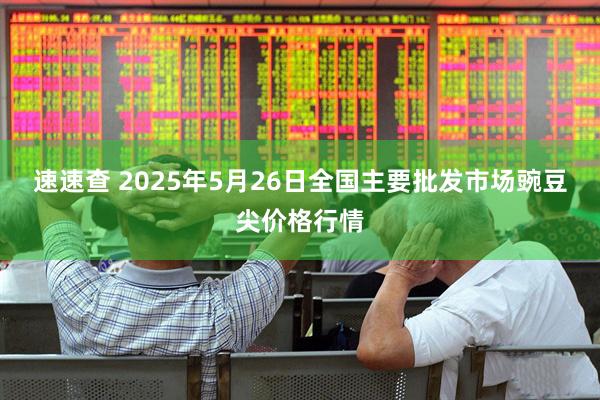 速速查 2025年5月26日全国主要批发市场豌豆尖价格行情
