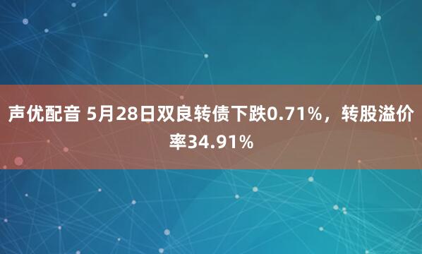 声优配音 5月28日双良转债下跌0.71%，转股溢价率34.91%