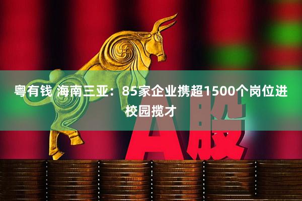 粤有钱 海南三亚：85家企业携超1500个岗位进校园揽才