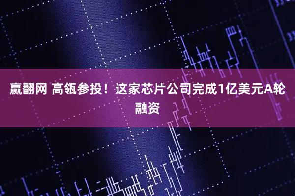 赢翻网 高瓴参投！这家芯片公司完成1亿美元A轮融资