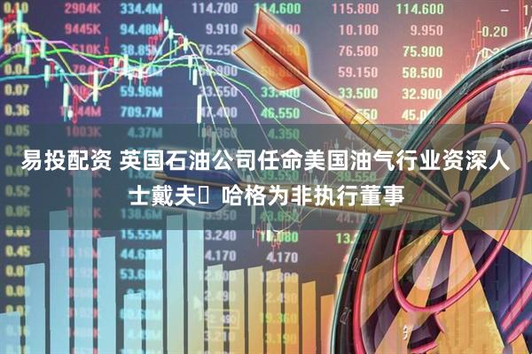 易投配资 英国石油公司任命美国油气行业资深人士戴夫・哈格为非执行董事