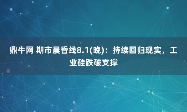 鼎牛网 期市晨昏线8.1(晚)：持续回归现实，工业硅跌破支撑
