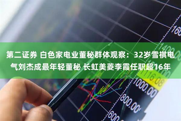 第二证券 白色家电业董秘群体观察：32岁雪祺电气刘杰成最年轻董秘 长虹美菱李霞任职超16年