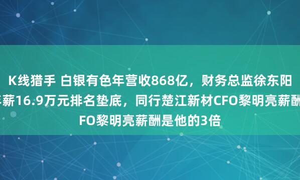 K线猎手 白银有色年营收868亿，财务总监徐东阳大专学历年薪16.9万元排名垫底，同行楚江新材CFO黎明亮薪酬是他的3倍