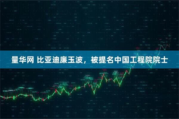量华网 比亚迪廉玉波，被提名中国工程院院士