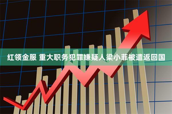 红领金服 重大职务犯罪嫌疑人梁小菲被遣返回国