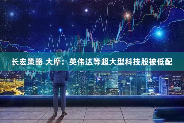 长宏策略 大摩：英伟达等超大型科技股被低配