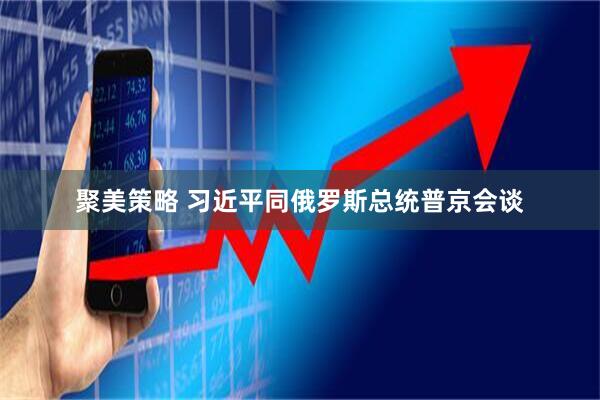 聚美策略 习近平同俄罗斯总统普京会谈